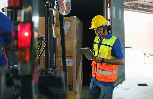 Goods-In / Despatch Staff